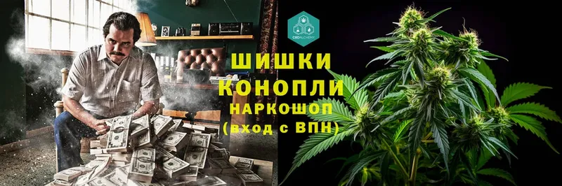 кракен маркетплейс  Дмитровск  Шишки марихуана SATIVA & INDICA 